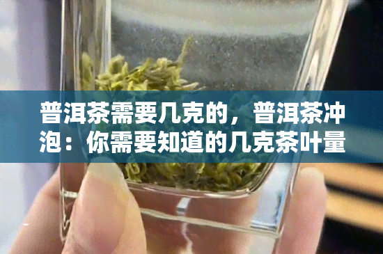 普洱茶需要几克的，普洱茶冲泡：你需要知道的几克茶叶量