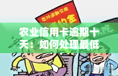 农业信用卡逾期十天：如何处理更低还款与利息？2021年新规解析