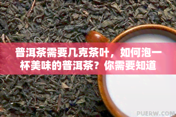 普洱茶需要几克茶叶，如何泡一杯美味的普洱茶？你需要知道多少克茶叶？