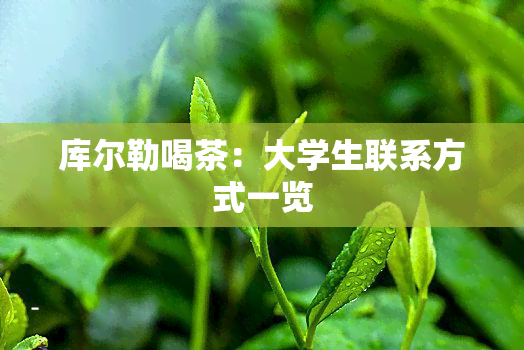 库尔勒喝茶：大学生联系方式一览