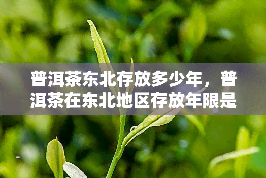 普洱茶东北存放多少年，普洱茶在东北地区存放年限是多少？