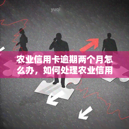 农业信用卡逾期两个月怎么办，如何处理农业信用卡逾期两个月的问题？