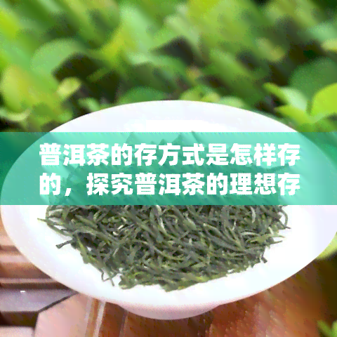 普洱茶的存方式是怎样存的，探究普洱茶的理想存方式