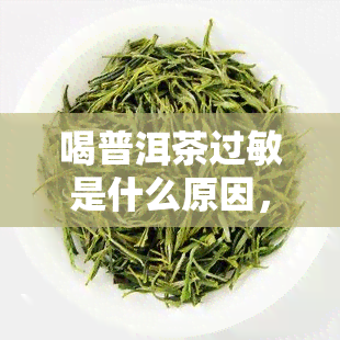 喝普洱茶过敏是什么原因，揭秘：为何有人喝普洱茶会出现过敏反应？