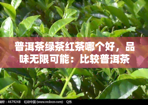 普洱茶绿茶红茶哪个好，品味无限可能：比较普洱茶、绿茶和红茶的优缺点