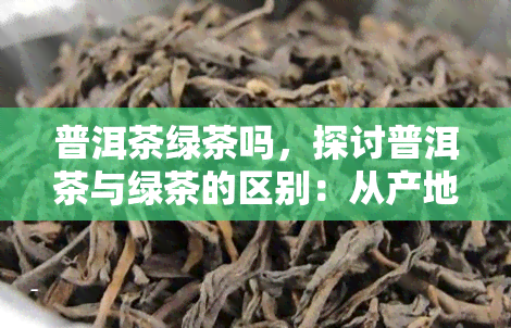 普洱茶绿茶吗，探讨普洱茶与绿茶的区别：从产地、口感到功效的全面对比