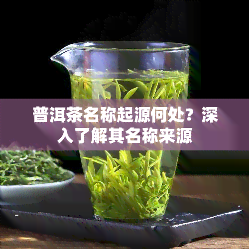 普洱茶名称起源何处？深入了解其名称来源