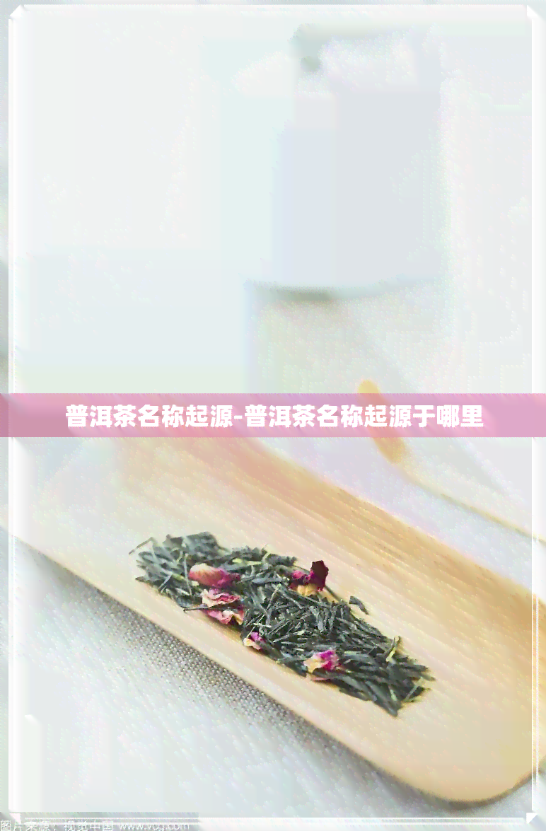 普洱茶名称起源-普洱茶名称起源于哪里