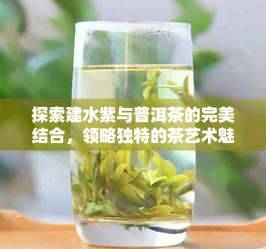 探索建水紫与普洱茶的完美结合，领略独特的茶艺术魅力