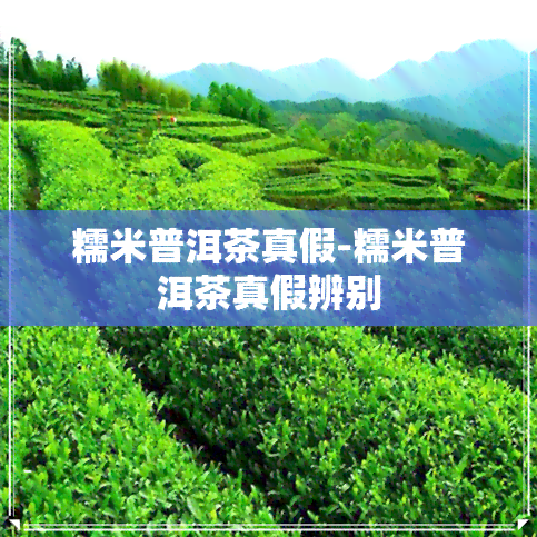 糯米普洱茶真假-糯米普洱茶真假辨别