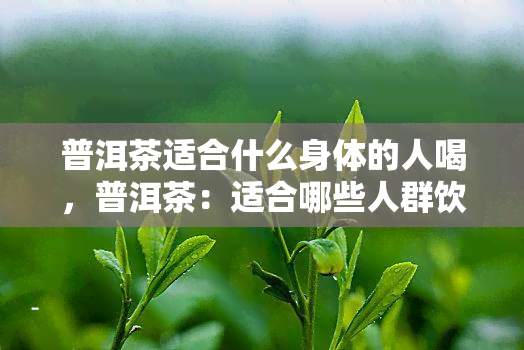 普洱茶适合什么身体的人喝，普洱茶：适合哪些人群饮用？