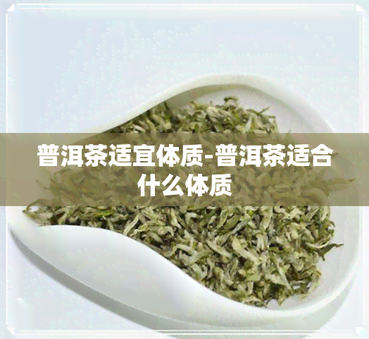 普洱茶适宜体质-普洱茶适合什么体质