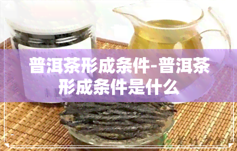 普洱茶形成条件-普洱茶形成条件是什么