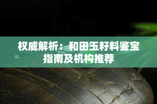 权威解析：和田玉籽料鉴宝指南及机构推荐