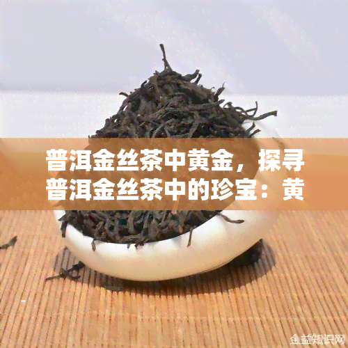 普洱金丝茶中黄金，探寻普洱金丝茶中的珍宝：黄金般的品质与口感