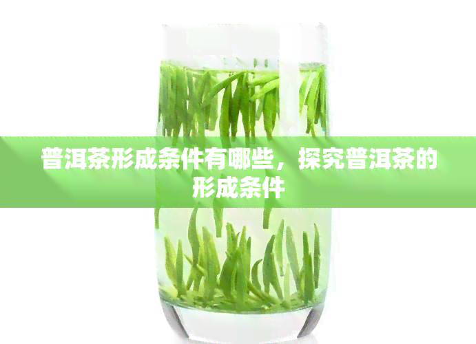 普洱茶形成条件有哪些，探究普洱茶的形成条件