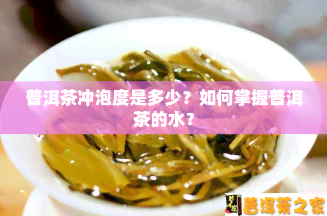 普洱茶冲泡度是多少？如何掌握普洱茶的水？