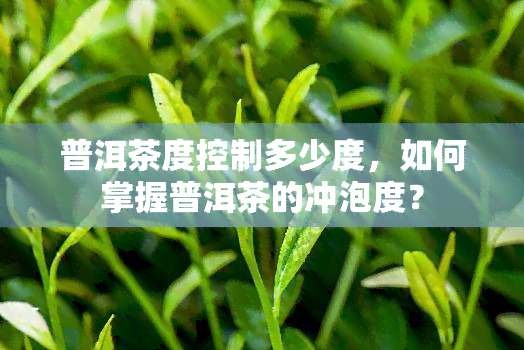 普洱茶度控制多少度，如何掌握普洱茶的冲泡度？