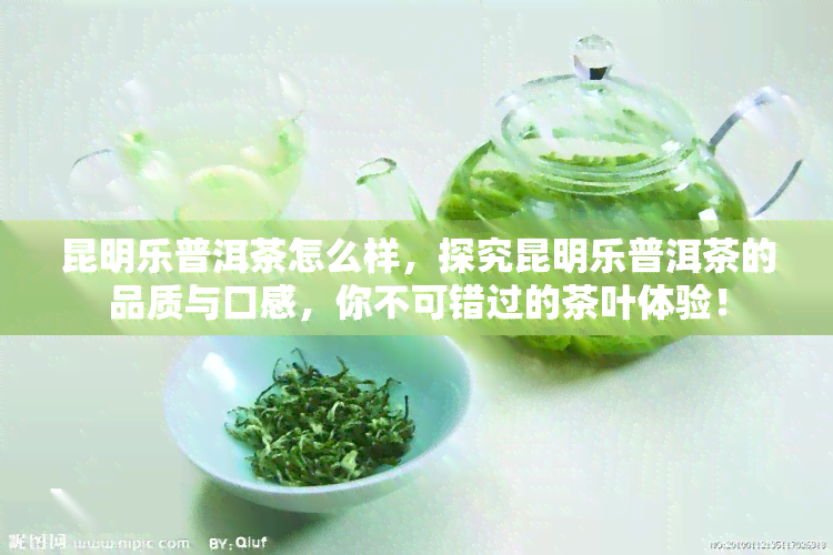 昆明乐普洱茶怎么样，探究昆明乐普洱茶的品质与口感，你不可错过的茶叶体验！