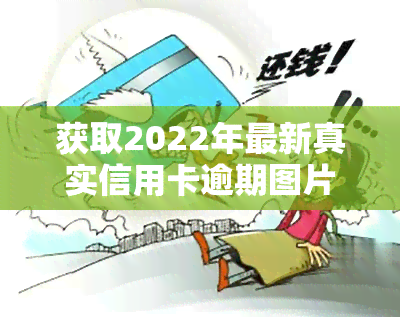 获取2022年最新真实信用卡逾期图片