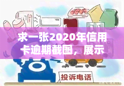 求一张2020年信用卡逾期截图，展示欠款情况