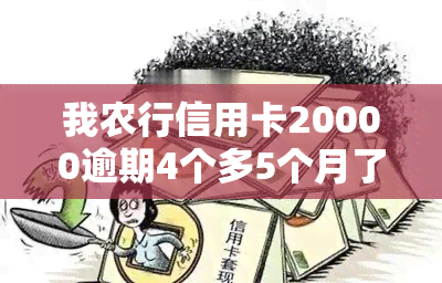 我农行信用卡20000逾期4个多5个月了，农行信用卡逾期4个多月，欠款20000元