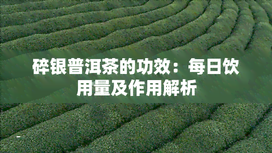 碎银普洱茶的功效：每日饮用量及作用解析