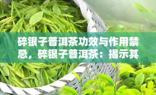 碎银子普洱茶功效与作用禁忌，碎银子普洱茶：揭示其神奇功效与作用，以及需要避免的禁忌事