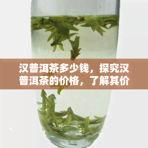 汉普洱茶多少钱，探究汉普洱茶的价格，了解其价值所在！