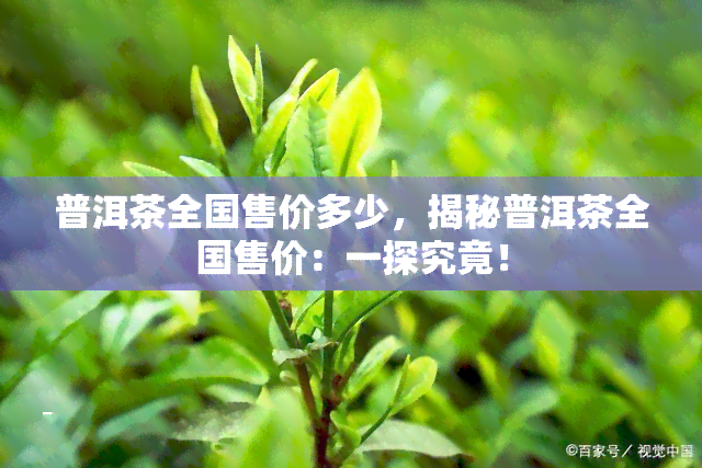 普洱茶全国售价多少，揭秘普洱茶全国售价：一探究竟！