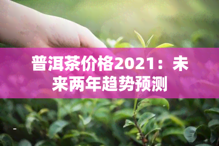 普洱茶价格2021：未来两年趋势预测