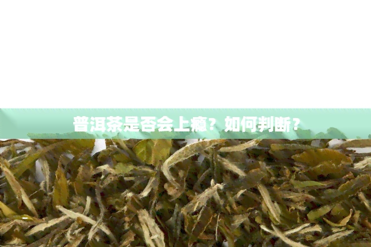 普洱茶是否会上瘾？如何判断？