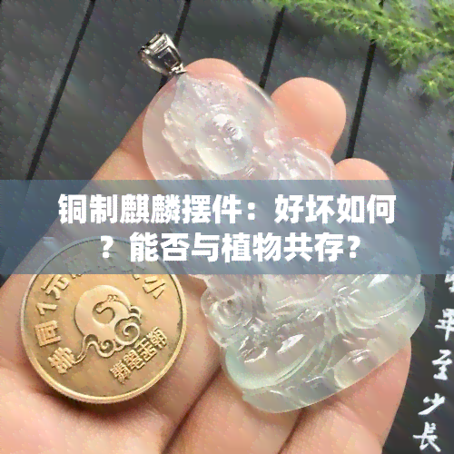 铜制麒麟摆件：好坏如何？能否与植物共存？