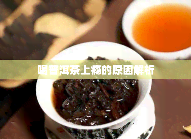 喝普洱茶上瘾的原因解析