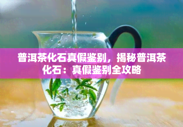 普洱茶化石真假鉴别，揭秘普洱茶化石：真假鉴别全攻略