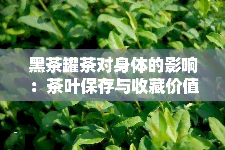 黑茶罐茶对身体的影响：茶叶保存与收藏价值探讨