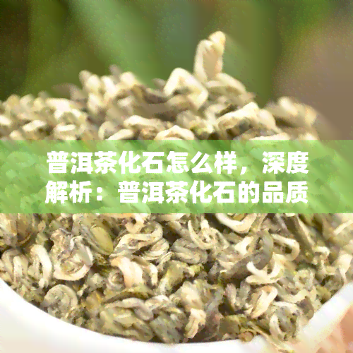 普洱茶化石怎么样，深度解析：普洱茶化石的品质与口感究竟如何？