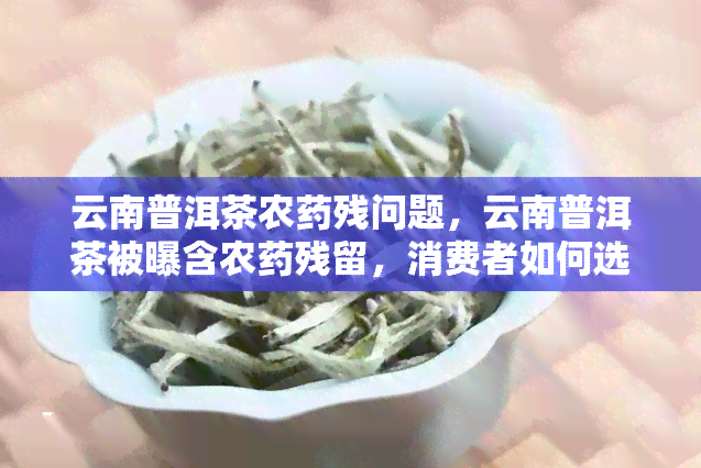 云南普洱茶农药残问题，云南普洱茶被曝含农药残留，消费者如何选择安全茶叶？