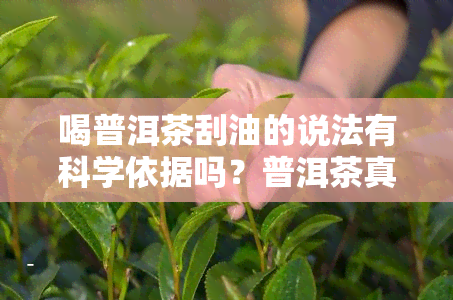 喝普洱茶刮油的说法有科学依据吗？普洱茶真的能有效刮油吗？