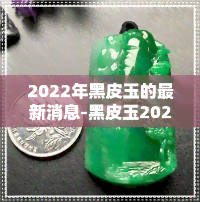 2022年黑皮玉的最新消息-黑皮玉2020最新消息