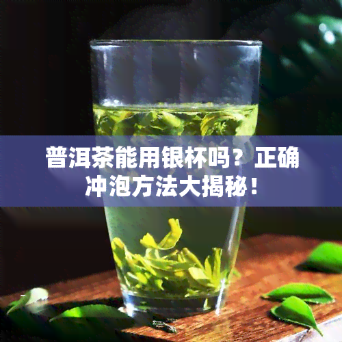 普洱茶能用银杯吗？正确冲泡方法大揭秘！