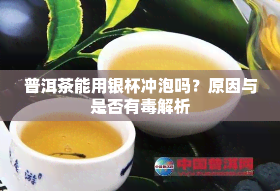 普洱茶能用银杯冲泡吗？原因与是否有解析