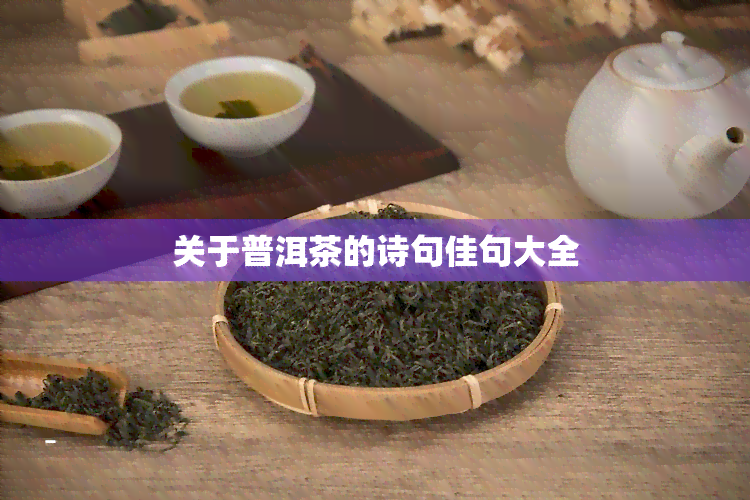 关于普洱茶的诗句佳句大全