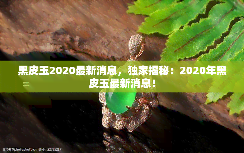 黑皮玉2020最新消息，独家揭秘：2020年黑皮玉最新消息！