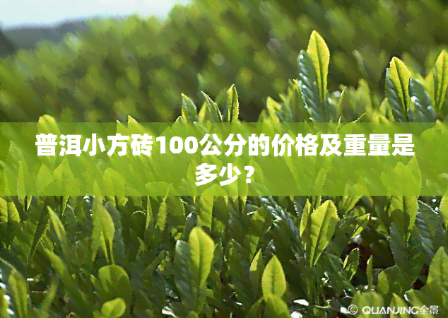 普洱小方砖100公分的价格及重量是多少？