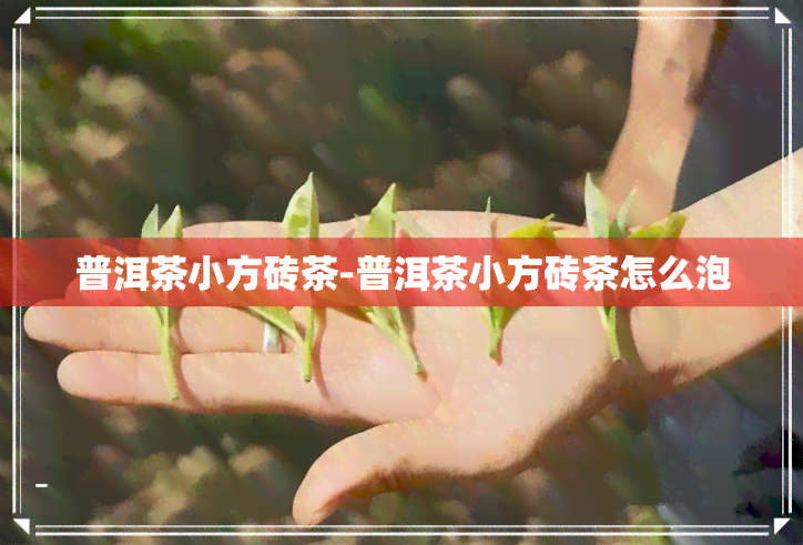 普洱茶小方砖茶-普洱茶小方砖茶怎么泡