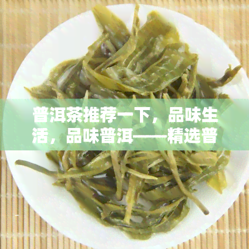 普洱茶推荐一下，品味生活，品味普洱——精选普洱茶推荐