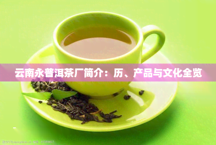 云南永普洱茶厂简介：历、产品与文化全览