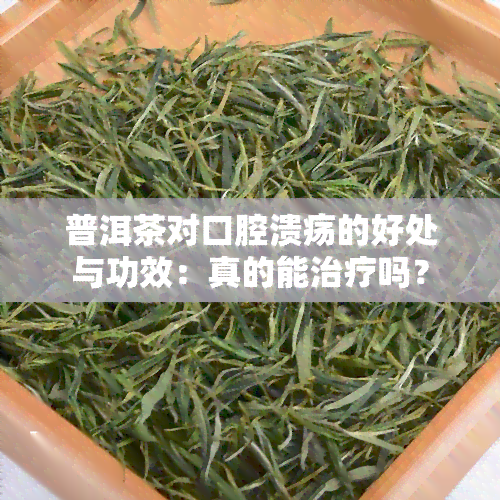 普洱茶对口腔溃疡的好处与功效：真的能治疗吗？