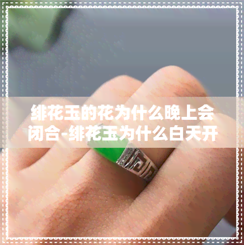 绯花玉的花为什么晚上会闭合-绯花玉为什么白天开花晚上闭